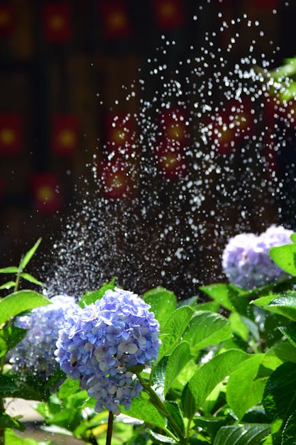 Czym są hydrolaty i jak powstają