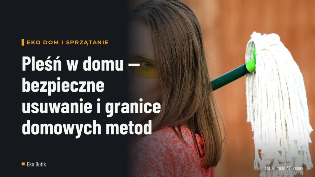 Pleśń w domu — bezpieczne usuwanie i granice domowych metod