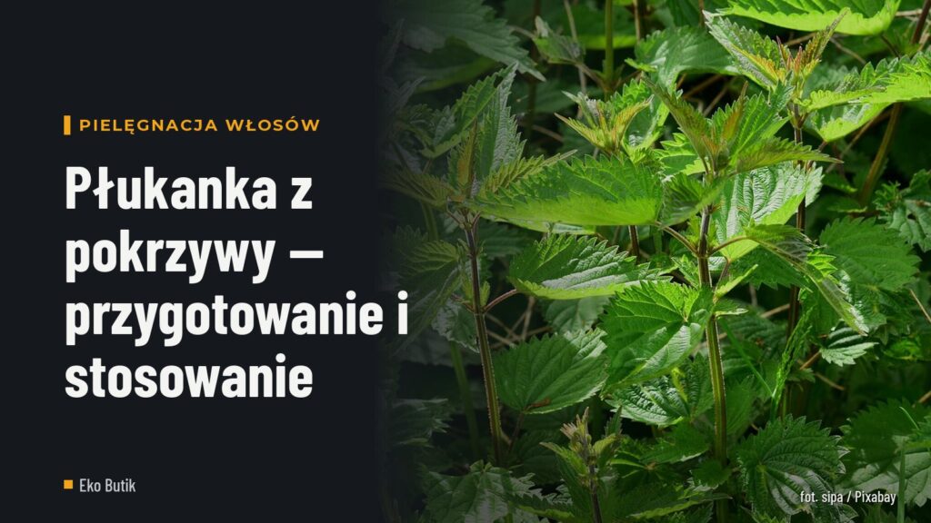 Płukanka z pokrzywy — przygotowanie i stosowanie