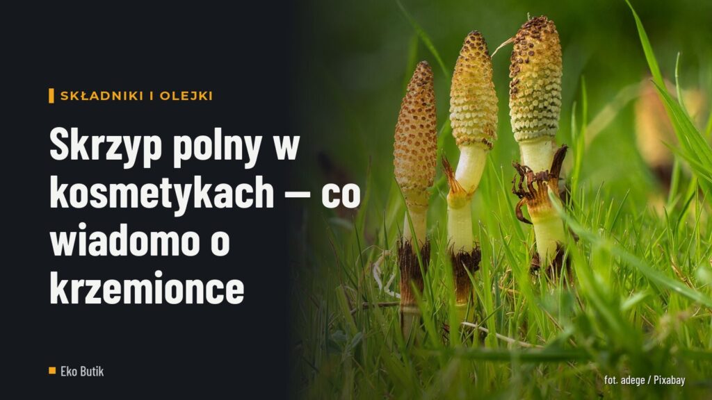 Skrzyp polny w kosmetykach — co wiadomo o krzemionce